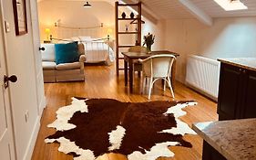 Glastonbury Festival En-Suite Studio With Kitchenette - 2 Miles To Site